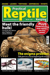 Practical Reptile Keeping Magazine